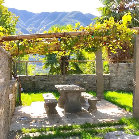Rustici Maggia *